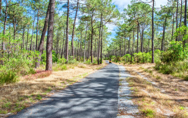 Marina de Talaris - Photo 20