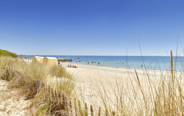 Otello 3 - L'Ibis rouge - Photo 28