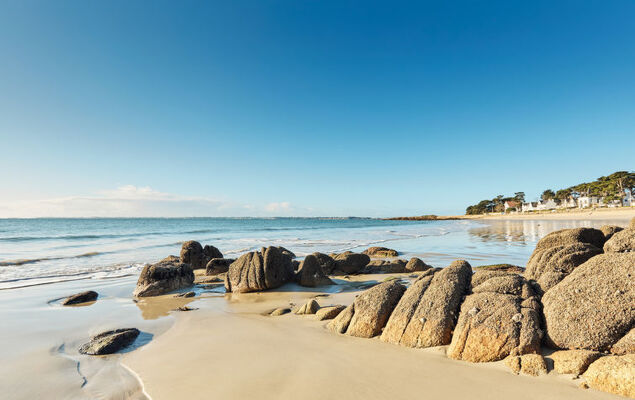 Otello 3 - L'Ibis rouge - Photo 29