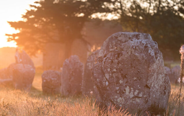 Otello 3 - L'Ibis rouge - Photo 31
