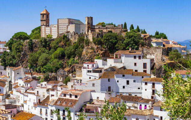 Doña Julia Golf Views - Photo 33