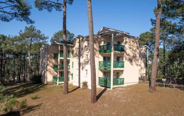 Les Grands Pins - Photo 18