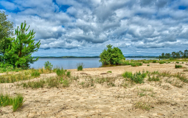 Les Landaises - Photo 28