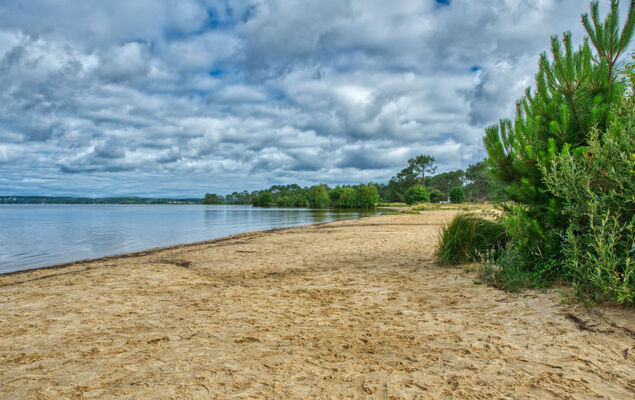 Les Landaises - Photo 29