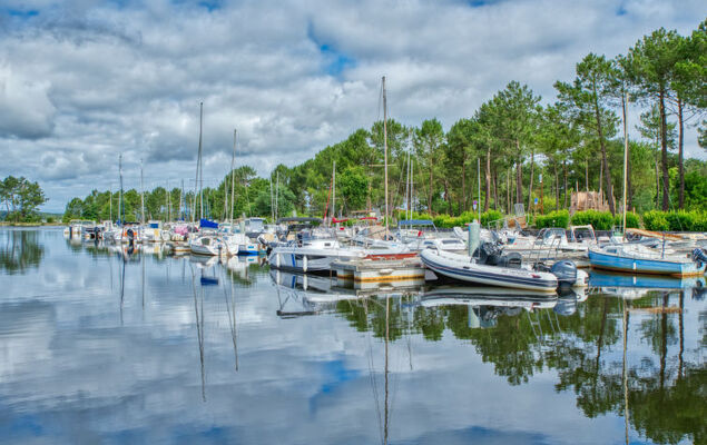 Les Landaises - Photo 32