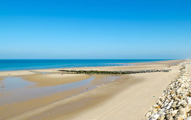 Les Landaises - Photo 33