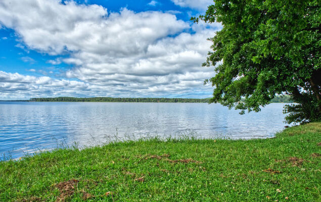 Massawipi Lodge - Photo 32