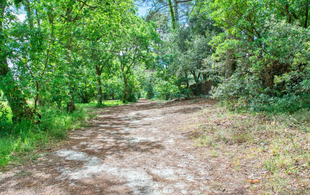 Cottage Etoile de mer - Photo 21