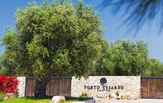 Happy Premium - Photo 16