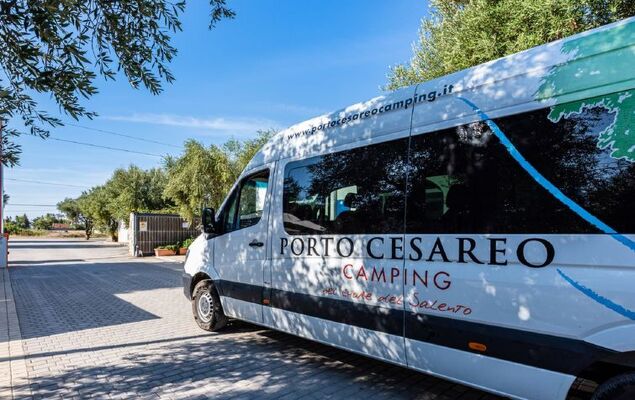 Happy Premium - Photo 17