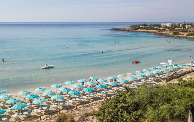 Happy Premium - Photo 18