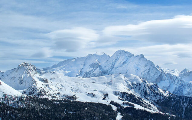 Cesa Galadriel - Photo 32