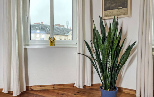 Regenbogen - Photo 20